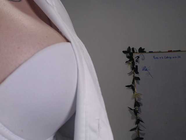 Oddajajo posnetke zaslona AdaIson