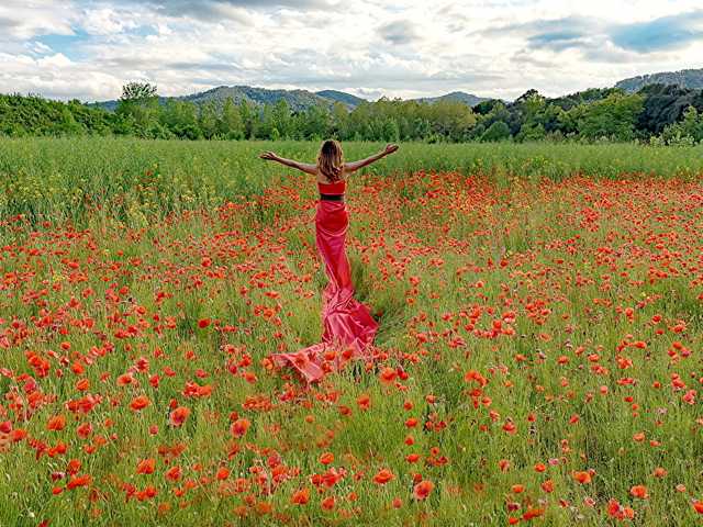 Profilna fotografija bella-cullenn