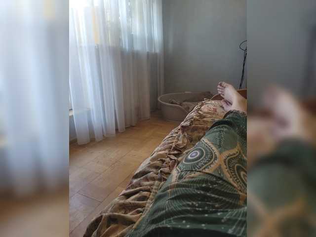 Oddajajo posnetke zaslona Cotic