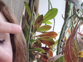 Erotični video klepet Crazycouple8