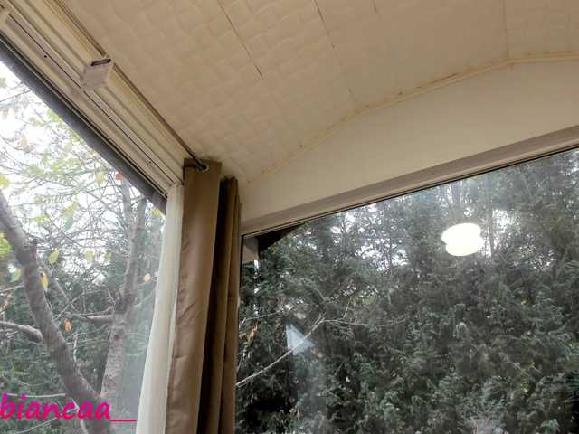 Oddajajo posnetke zaslona Denise-Quinn