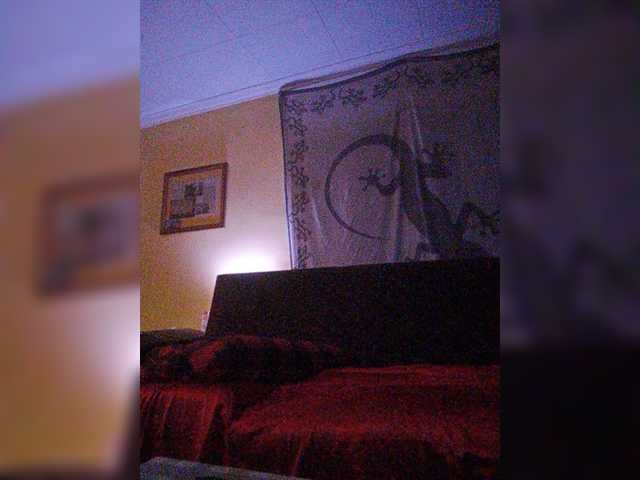 Oddajajo posnetke zaslona Doggysx