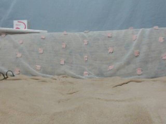 Oddajajo posnetke zaslona DonnaWildJoyy