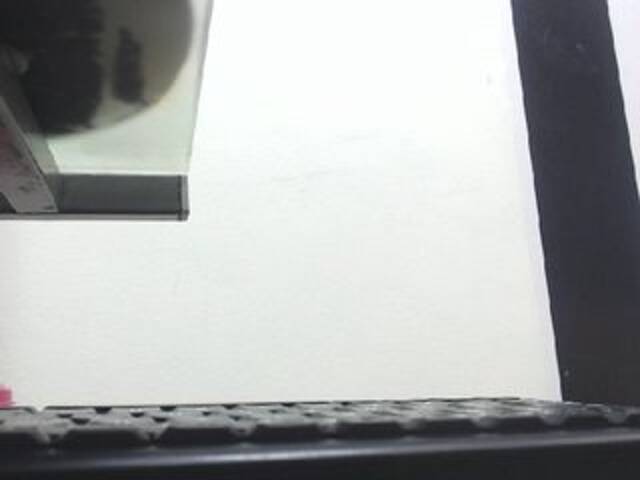 Oddajajo posnetke zaslona Dulceik