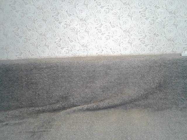 Oddajajo posnetke zaslona ElegantBlonda