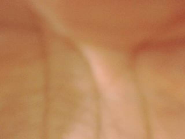 Oddajajo posnetke zaslona evabluexx