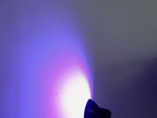 Oddajajo posnetke zaslona evangelingtor