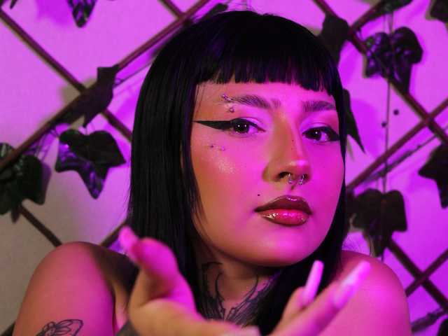 Fotografija profila fer-kitty