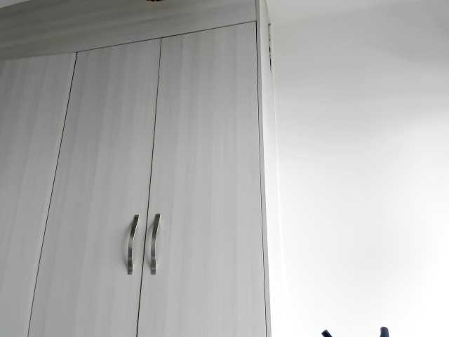 Oddajajo posnetke zaslona fitnessebony