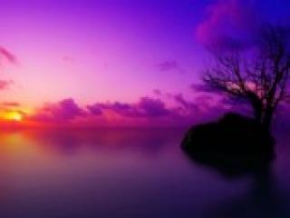 Erotični video klepet florabella