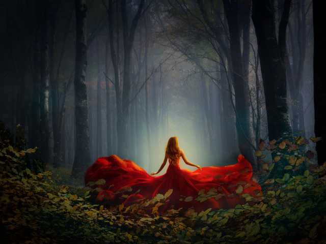 Fotografija profila Lisa-175