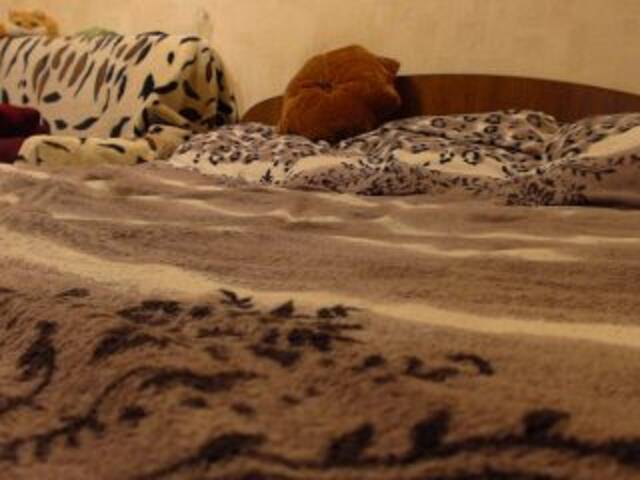 Oddajajo posnetke zaslona LisBlackVlady