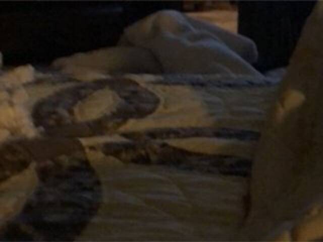 Oddajajo posnetke zaslona Littleshorty