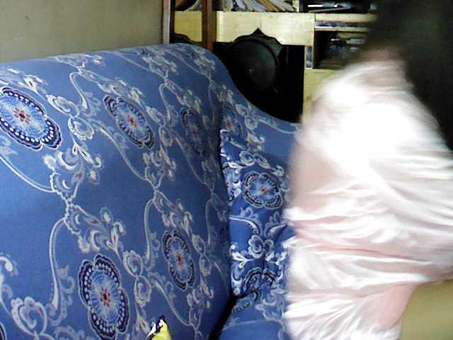 Oddajajo posnetke zaslona mangogirl28