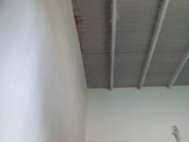 Oddajajo posnetke zaslona misscute