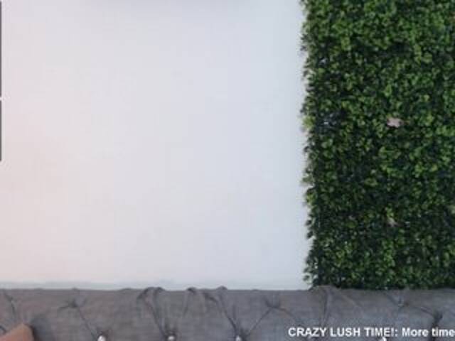 Oddajajo posnetke zaslona NicoleThomas