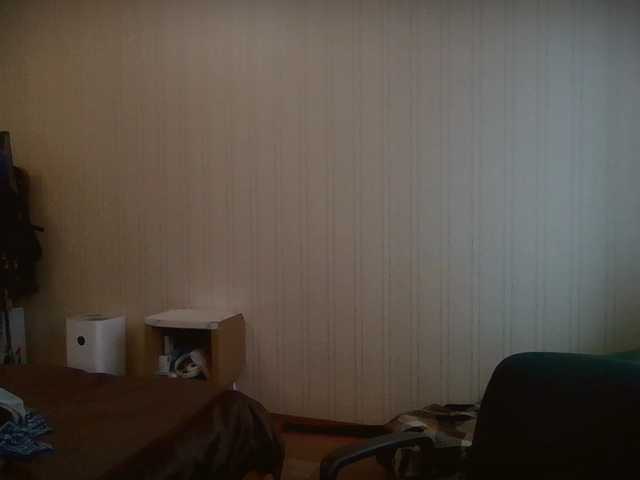 Oddajajo posnetke zaslona panterol