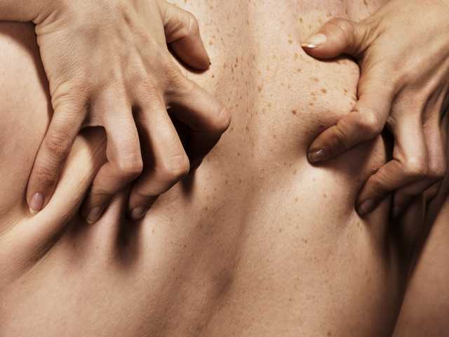 Fotografija profila Pineapple-Sex