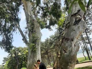 Erotični video klepet PUPI-DEL-REY