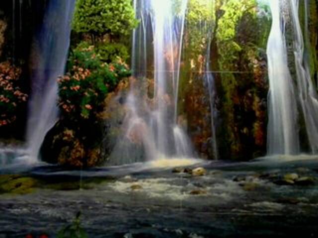 Oddajajo posnetke zaslona regiha