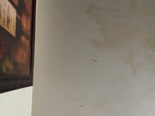 Erotični video klepet Sexylexie18