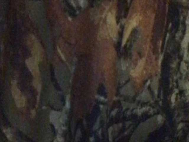 Oddajajo posnetke zaslona shawtyyredd