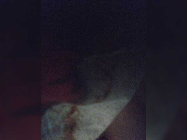 Oddajajo posnetke zaslona small-cat