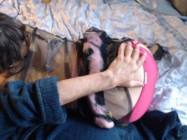 Oddajajo posnetke zaslona Masha_Ivanova