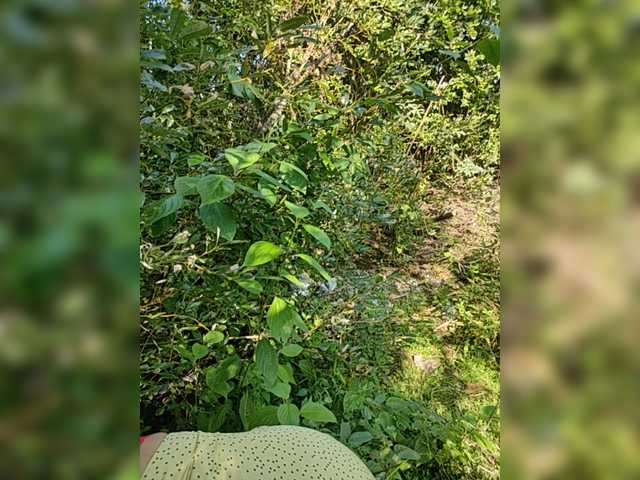 Oddajajo posnetke zaslona AliceWarren