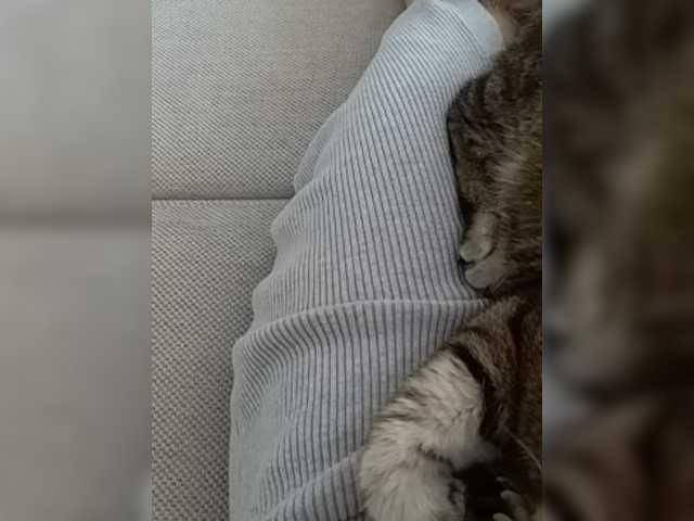 Oddajajo posnetke zaslona GolayaPravda