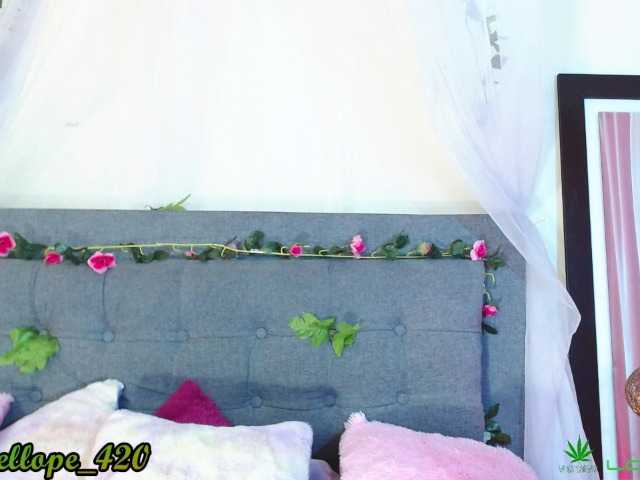 Oddajajo posnetke zaslona vanelope-ldv