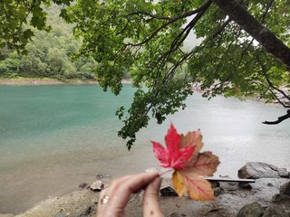 Erotični video klepet _GoodGirl_