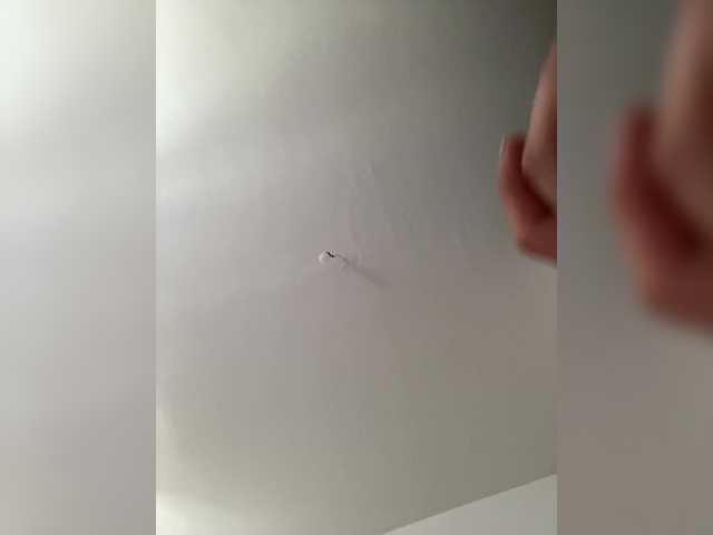 Oddajajo posnetke zaslona Vmeste