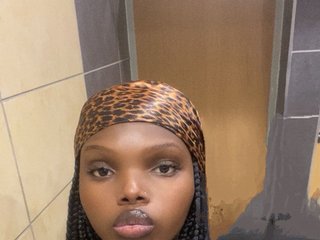 Erotični video klepet Wildcata